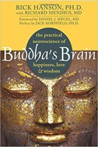 Buddha’s Brain, Hardwiring Happines