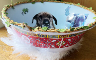 “Max,” client art